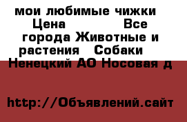 мои любимые чижки › Цена ­ 15 000 - Все города Животные и растения » Собаки   . Ненецкий АО,Носовая д.